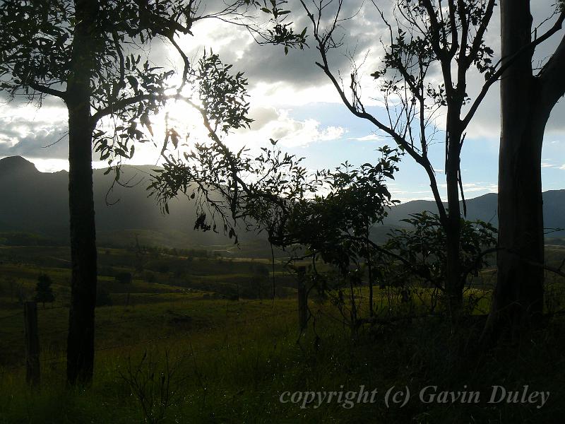 Storm light, Cunningham's Gap P1080012.JPG